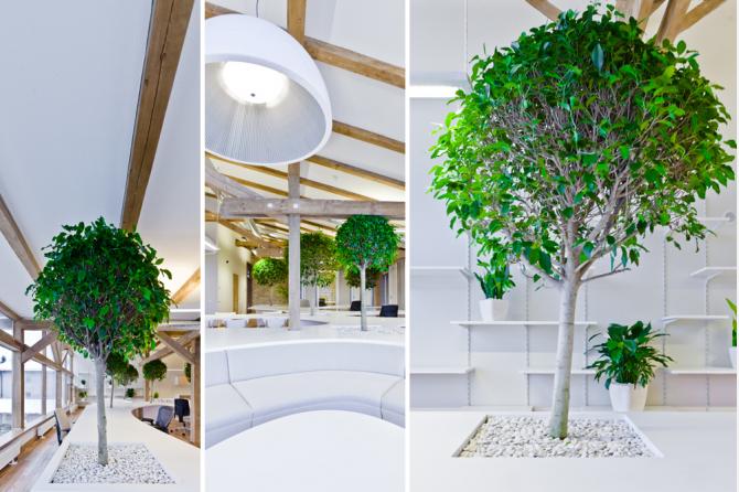 Greenhouse 辦公室裝修設(shè)計-第7張圖片-上海古都建筑設(shè)計集團(tuán)